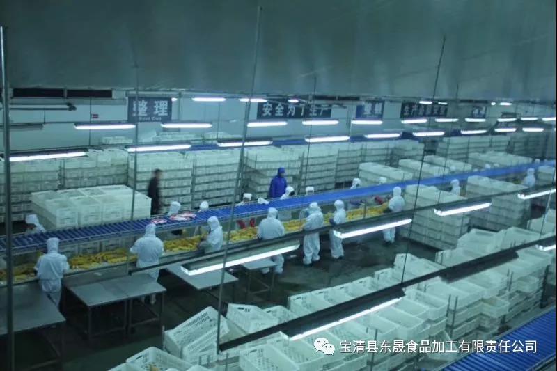 1603701581319018.jpg 5.jpg