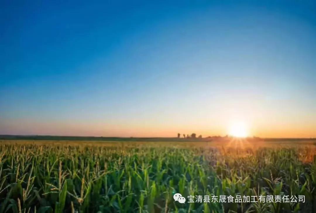 1634710348858745.jpg 1.jpg