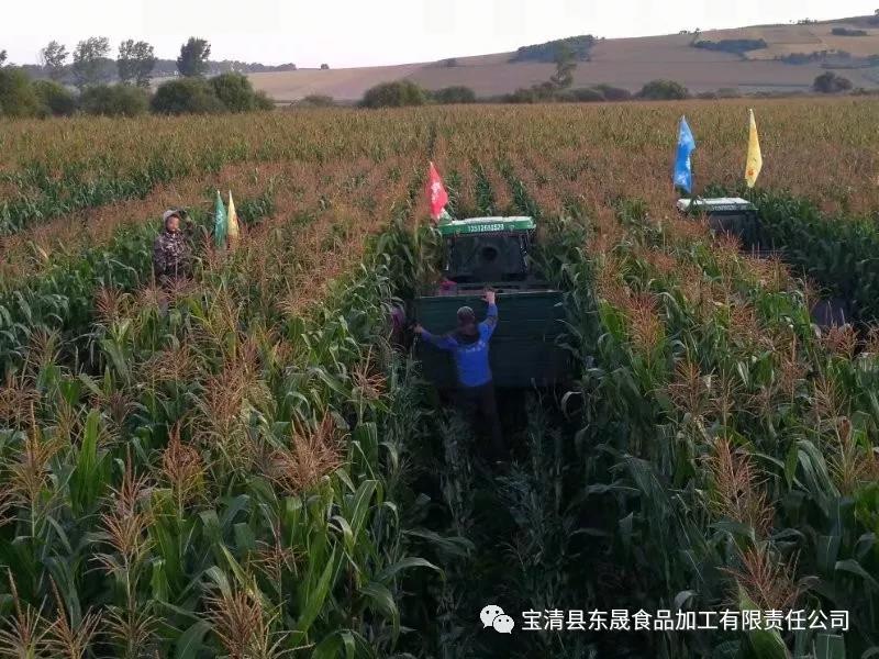 1634710398962899.jpg 4.jpg